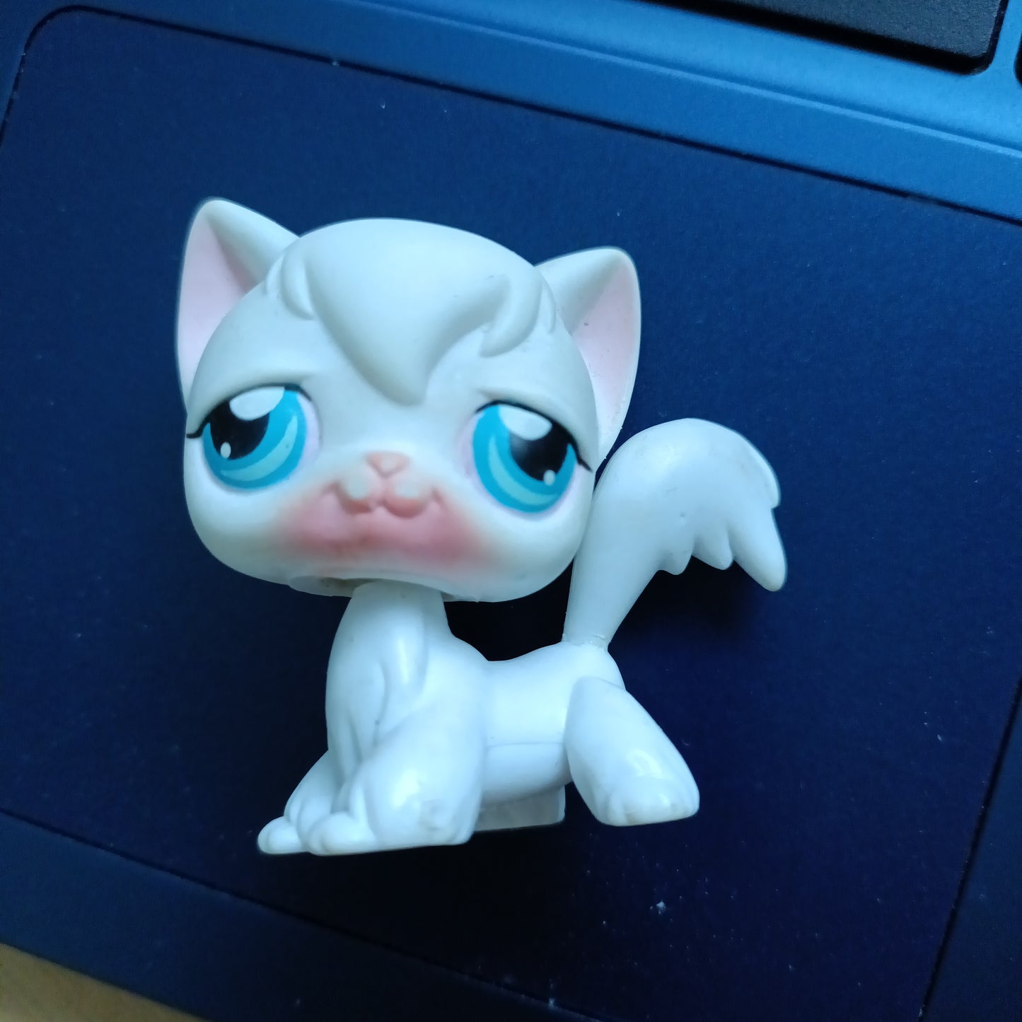 Littlest Pet Shop angora kissa #009