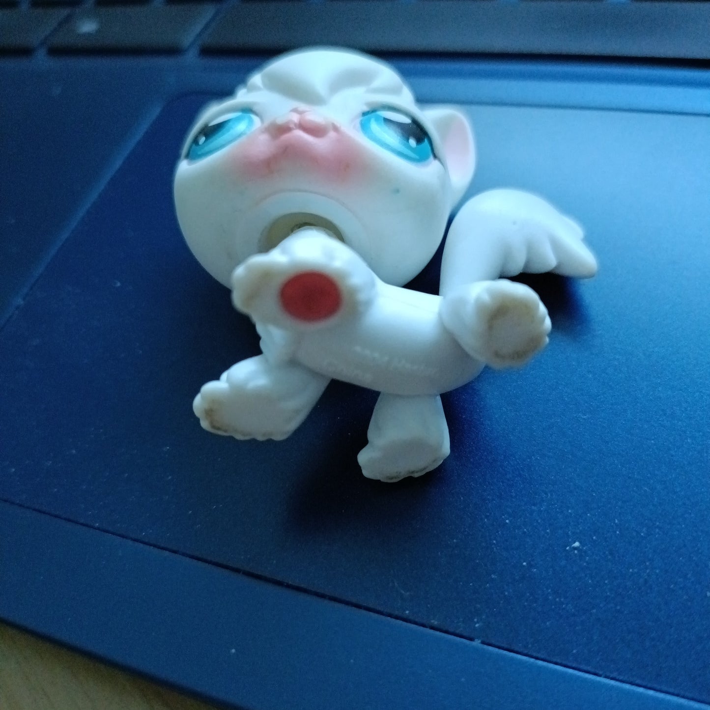 Littlest Pet Shop angora kissa #009