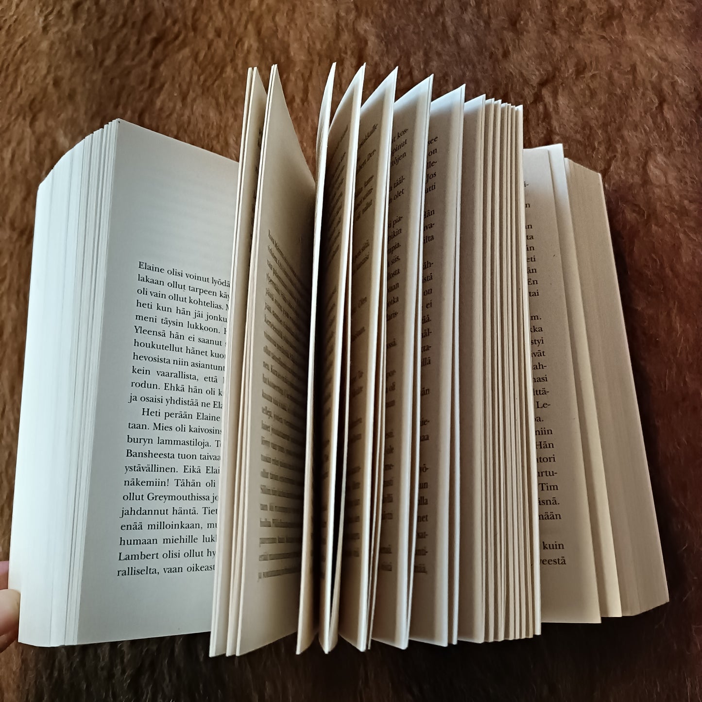 Maorien laulu - Sarah Lark *