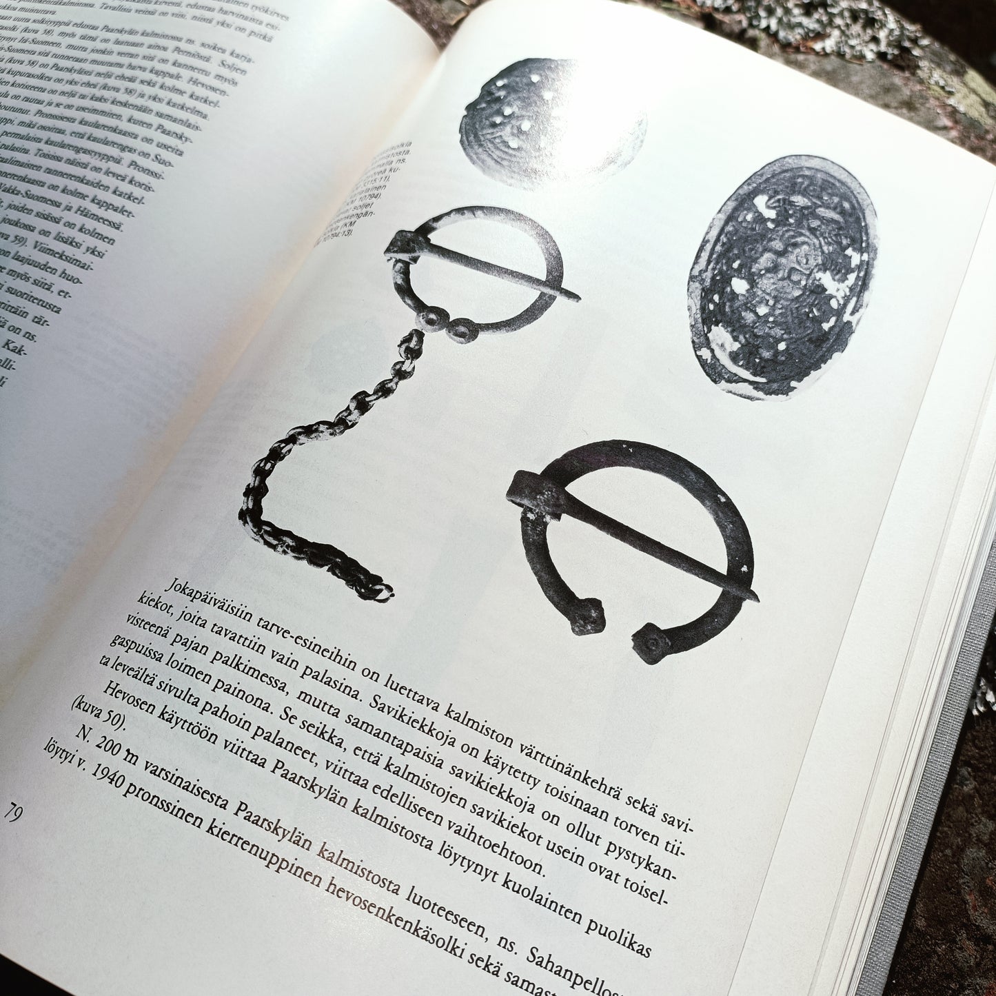 Perniön historia 1