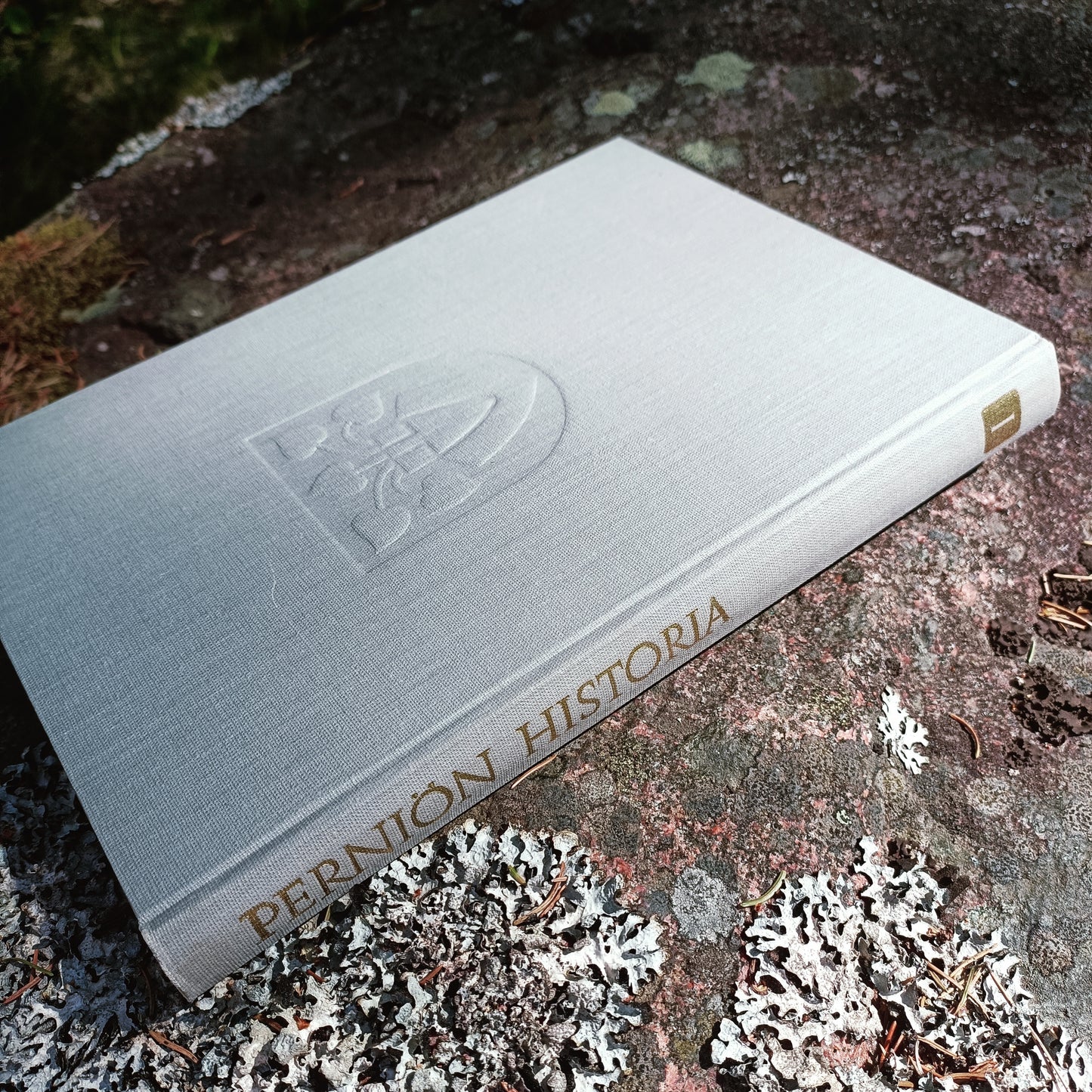 Perniön historia 1