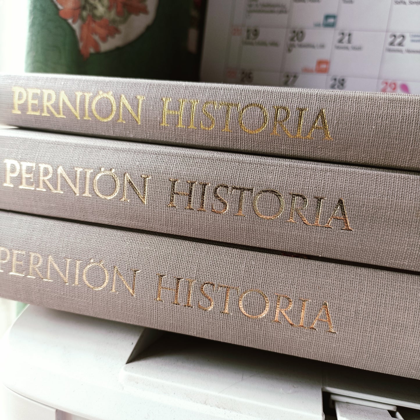 Perniön historia 2