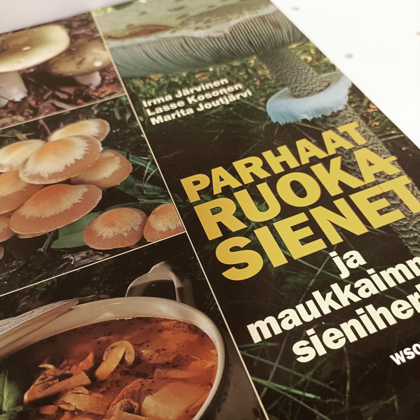 Parhaat ruokasienet ja maukkaimmat sieniherkut