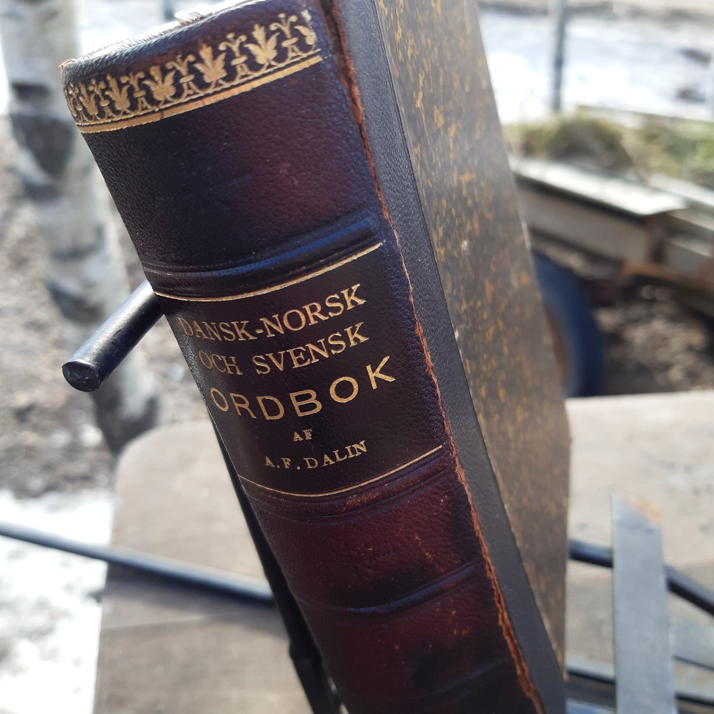 dansk-norsk och svensk ordbok - a.f. dalin - vuodelta 1895