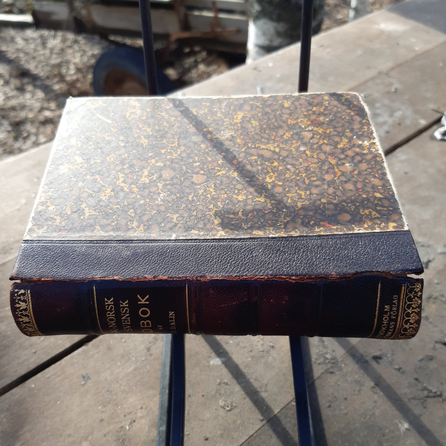 dansk-norsk och svensk ordbok - a.f. dalin - vuodelta 1895