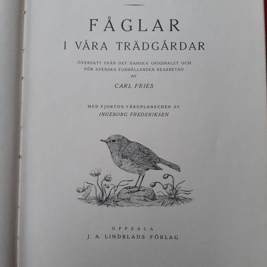 fåglar i våra trädgårdar
