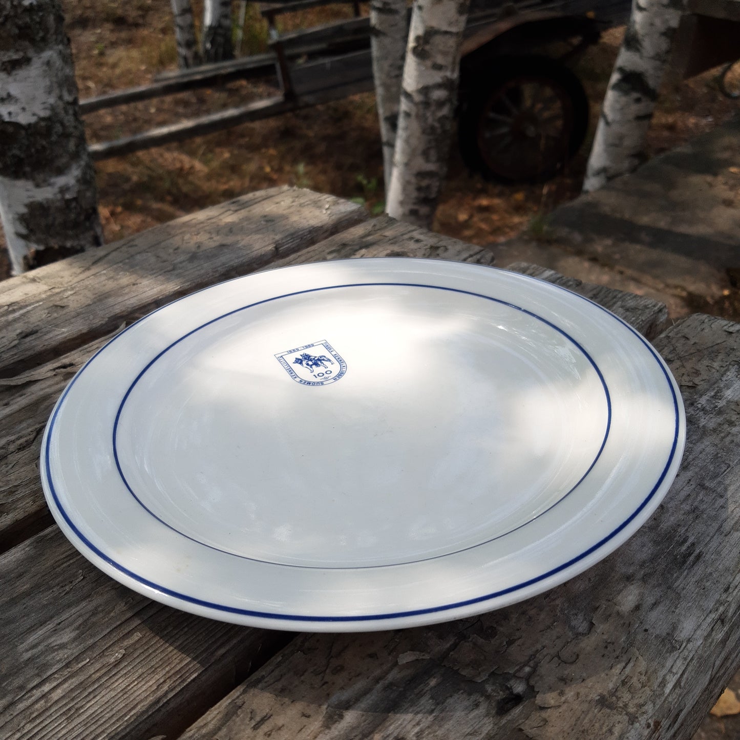 suomen kennelliitto 100 v. - arabia arctica lautanen