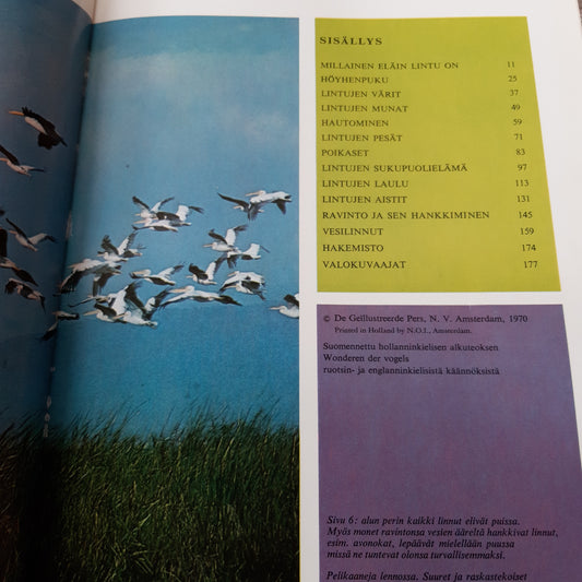 lintumaailman ihmeet