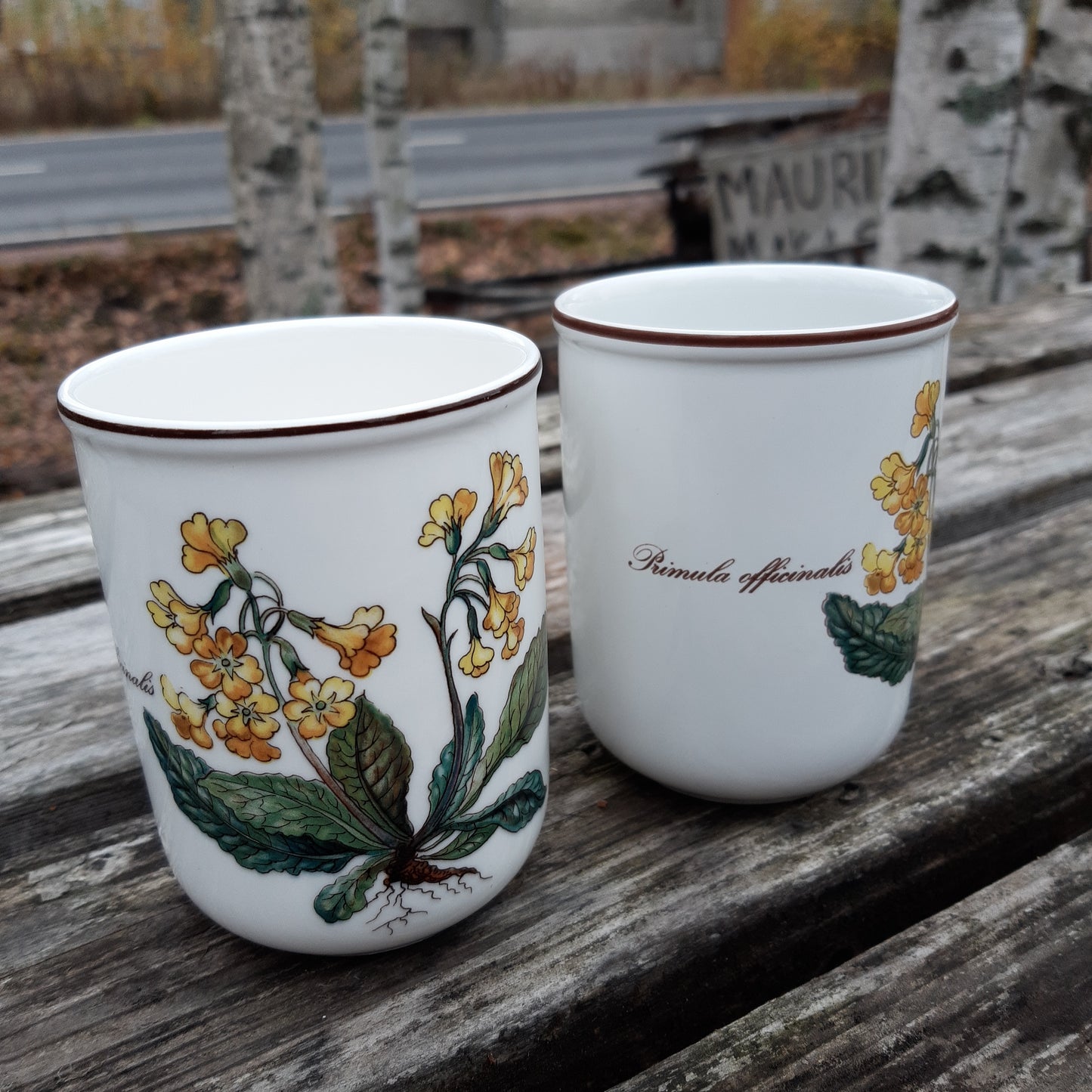 villeroy & boch botanica mehumuki 2 kpl