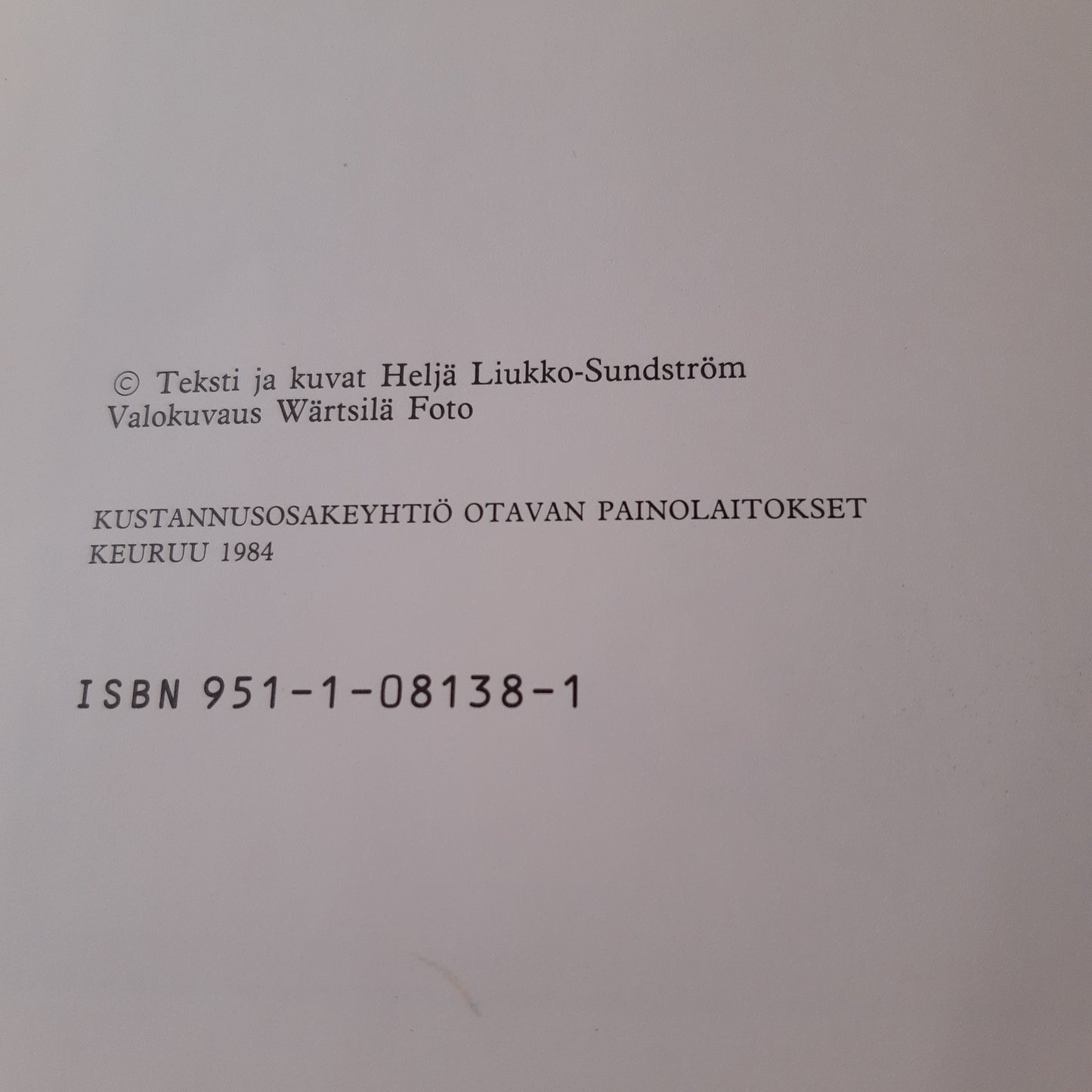 tietokoneprinssi - heljä liukko-sundström