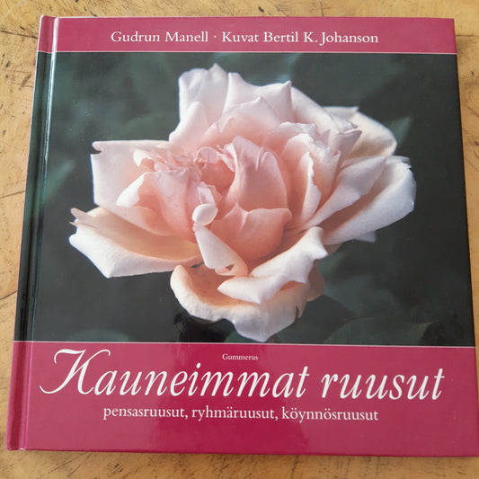 kauneimmat ruusut - pensasruusut, ryhmäruusut, köynnösruusut