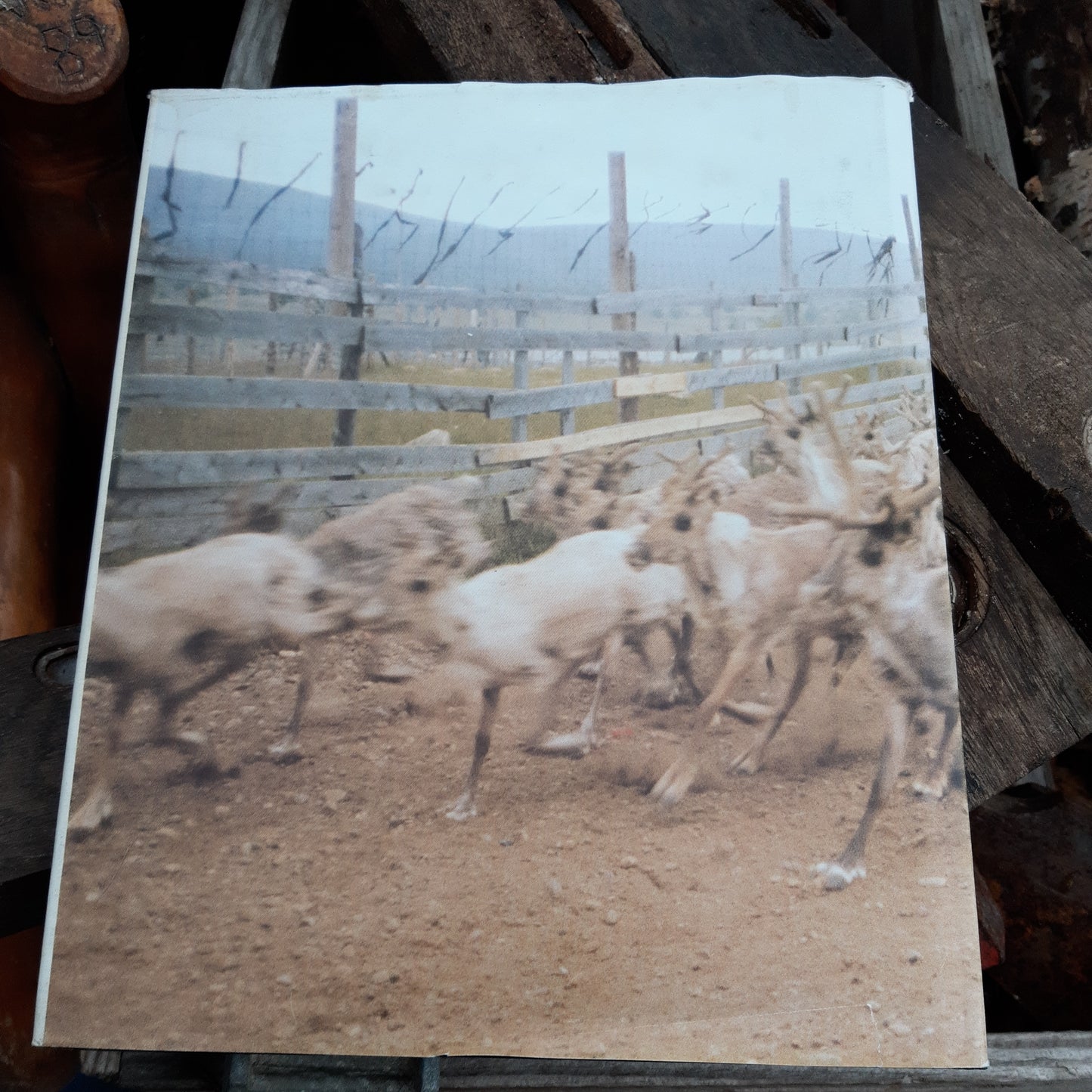 Lapin Kansa, osa lappilaista elämää 60 1928-1988