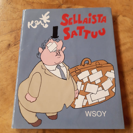 Kari - Sellaista sattuu