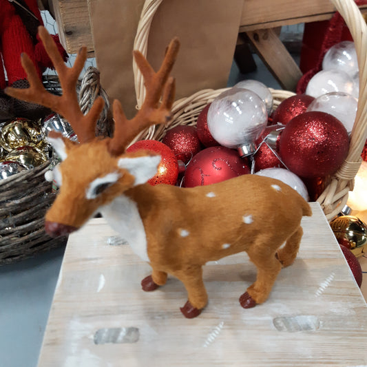 Peura komeilla sarvilla