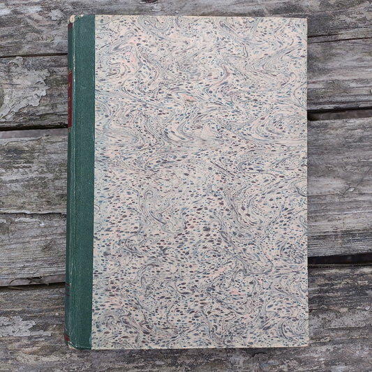 Jumalan Harpunsoittaja - Béla Kapi