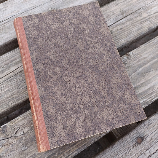 Kuinka teräs karaistui - Nikolai Ostrovski