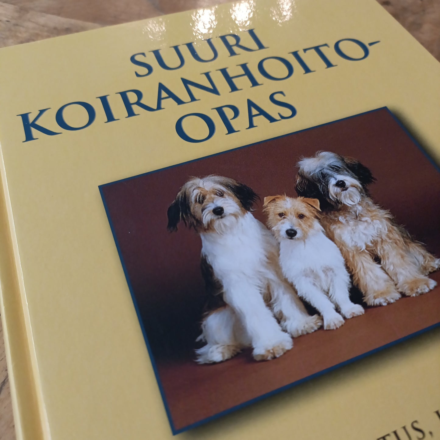 Suuri koiranhoito-opas - Hankinta, koulutus, hoito, ravinto, terveydenhoito, ensiapu