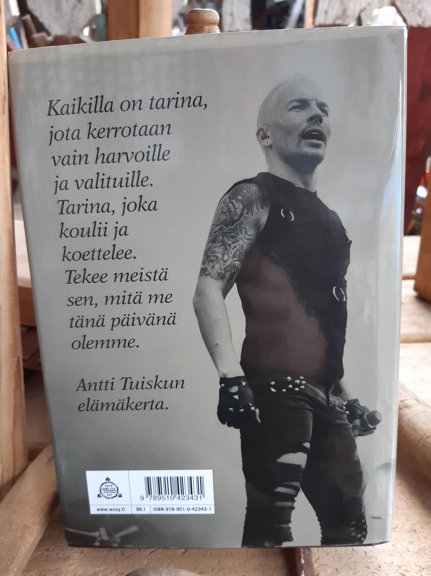 antti tapani