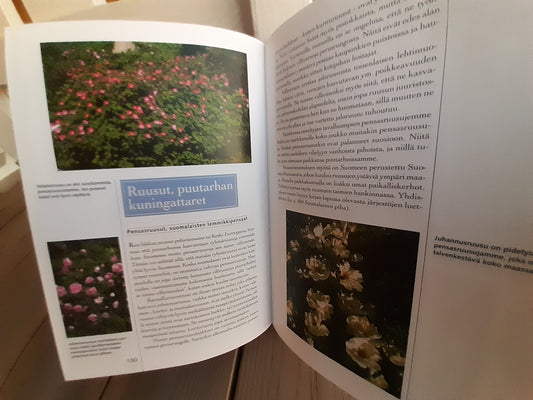 suomalainen piha ja puutarha