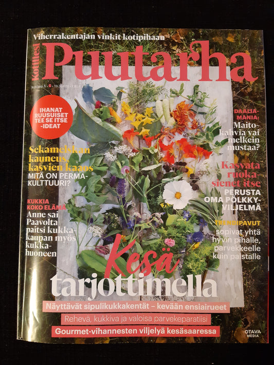 kotiliesi puutarha 6 - 2020