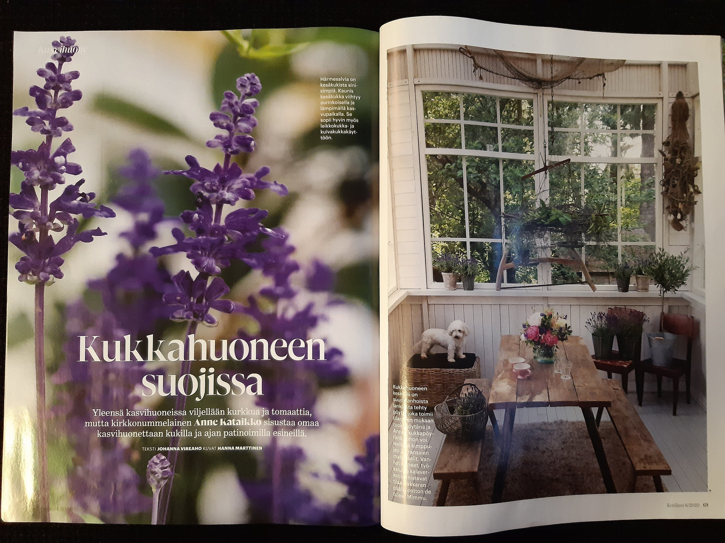 kotiliesi puutarha 6 - 2020