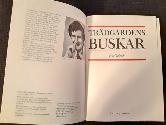 trädgårdens buskar