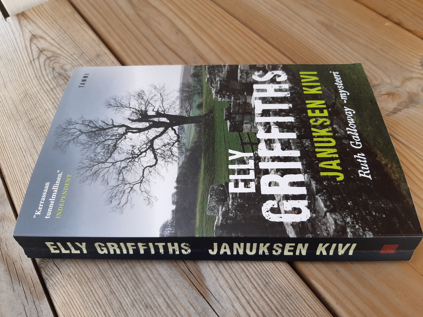 januksen kivi - elly griffiths