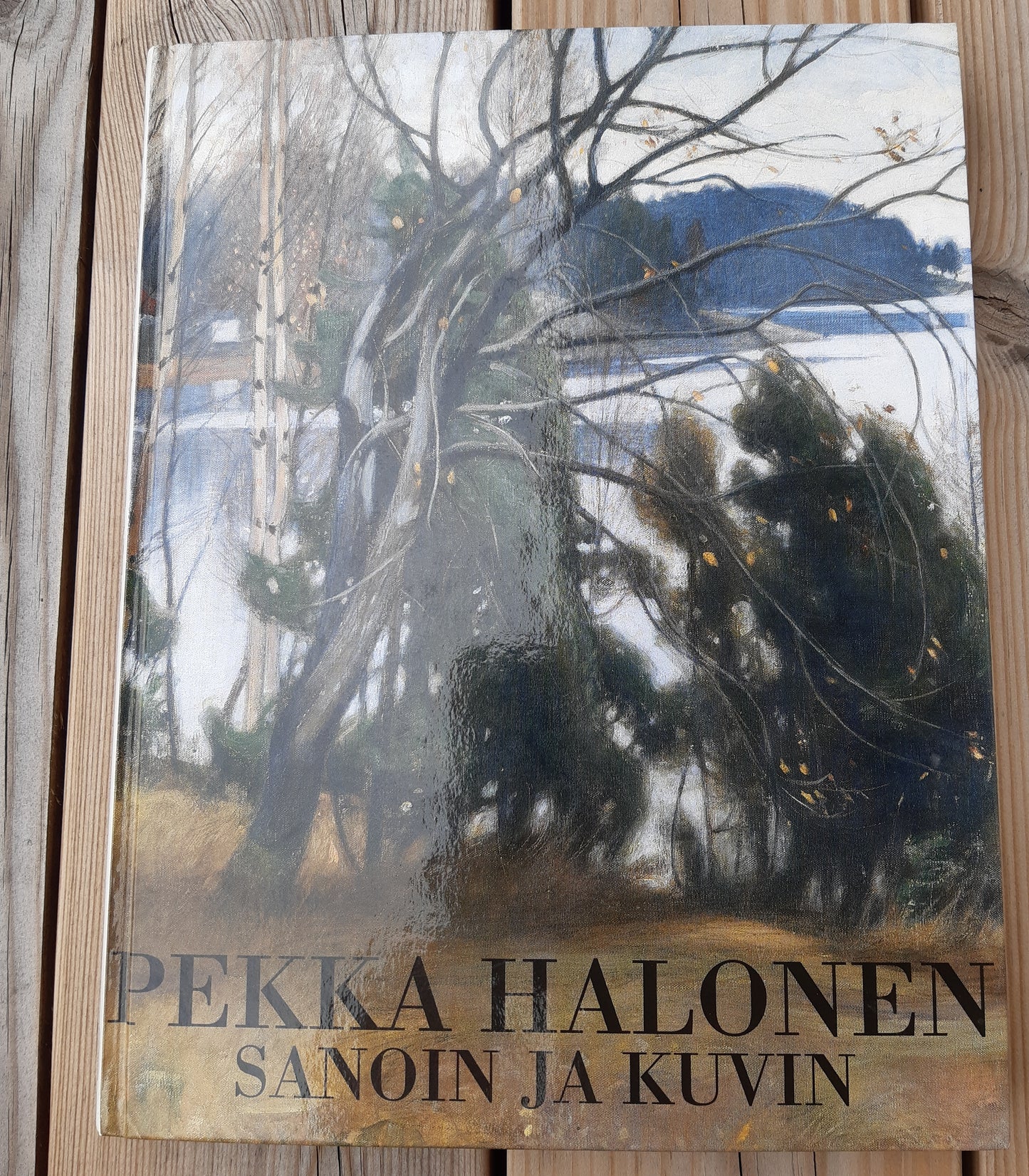 pekka halonen sanoin ja kuvin
