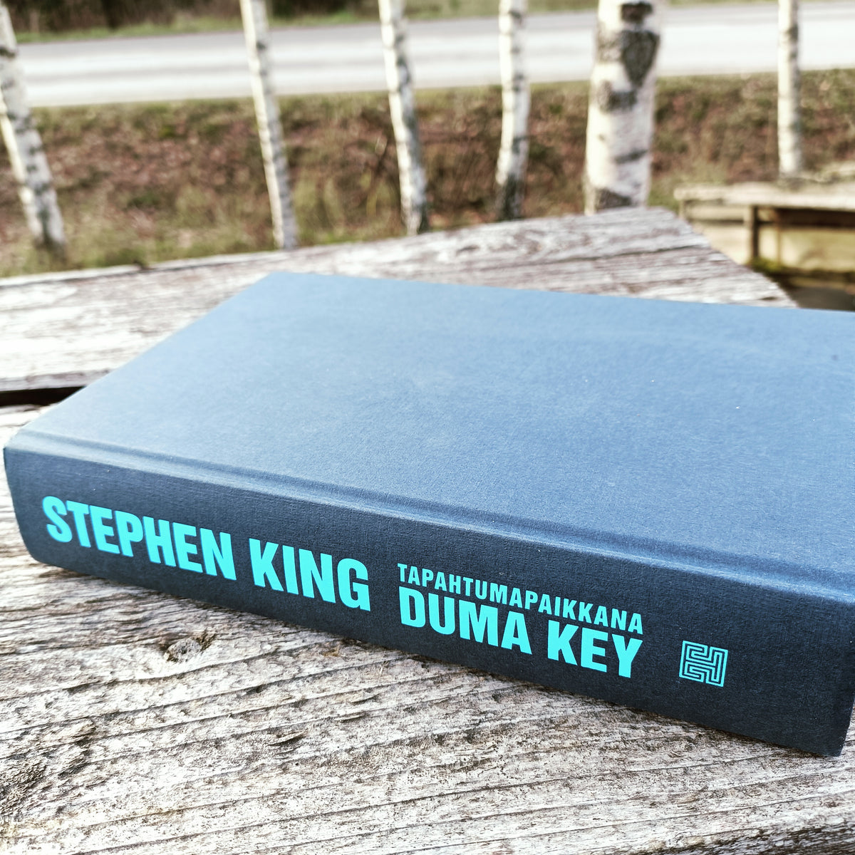 Tapahtumapaikkana Duma Key - Stephen King
