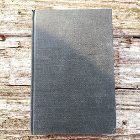 Painajainen - Stephen King