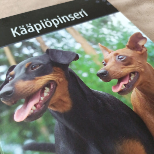 Suomen suosituimmat koirarodut - Kääpiöpinseri