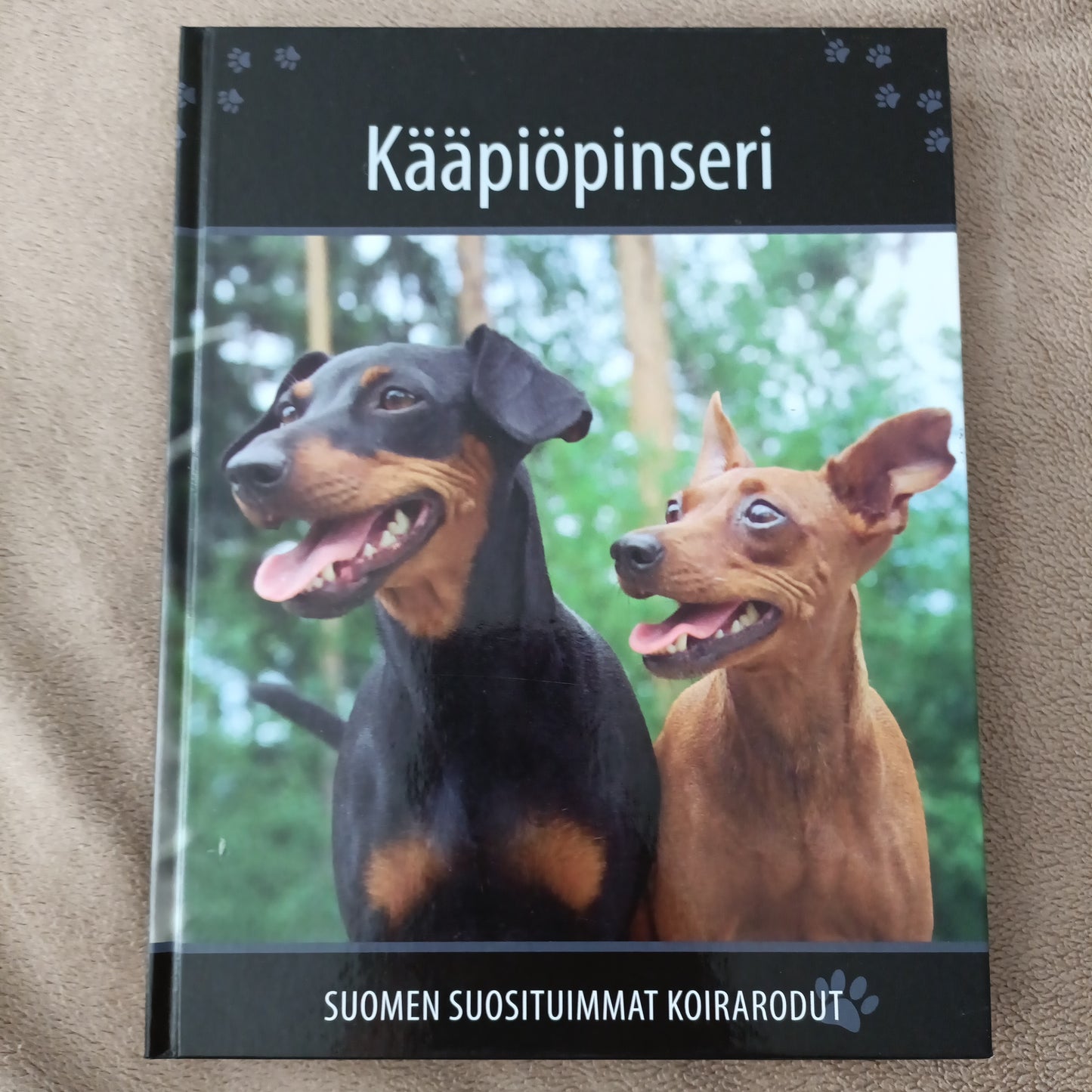 Suomen suosituimmat koirarodut - Kääpiöpinseri