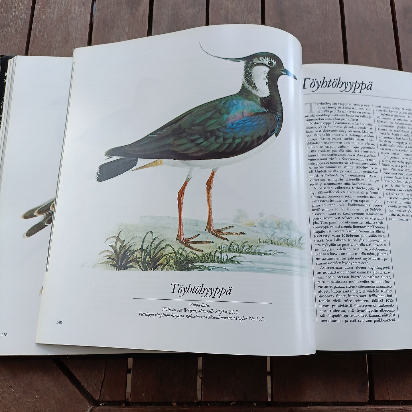Taiteilijaveljekset von Wright - Suomen kauneimmat lintumaalaukset