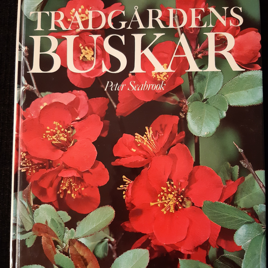 Trädgårdens buskar