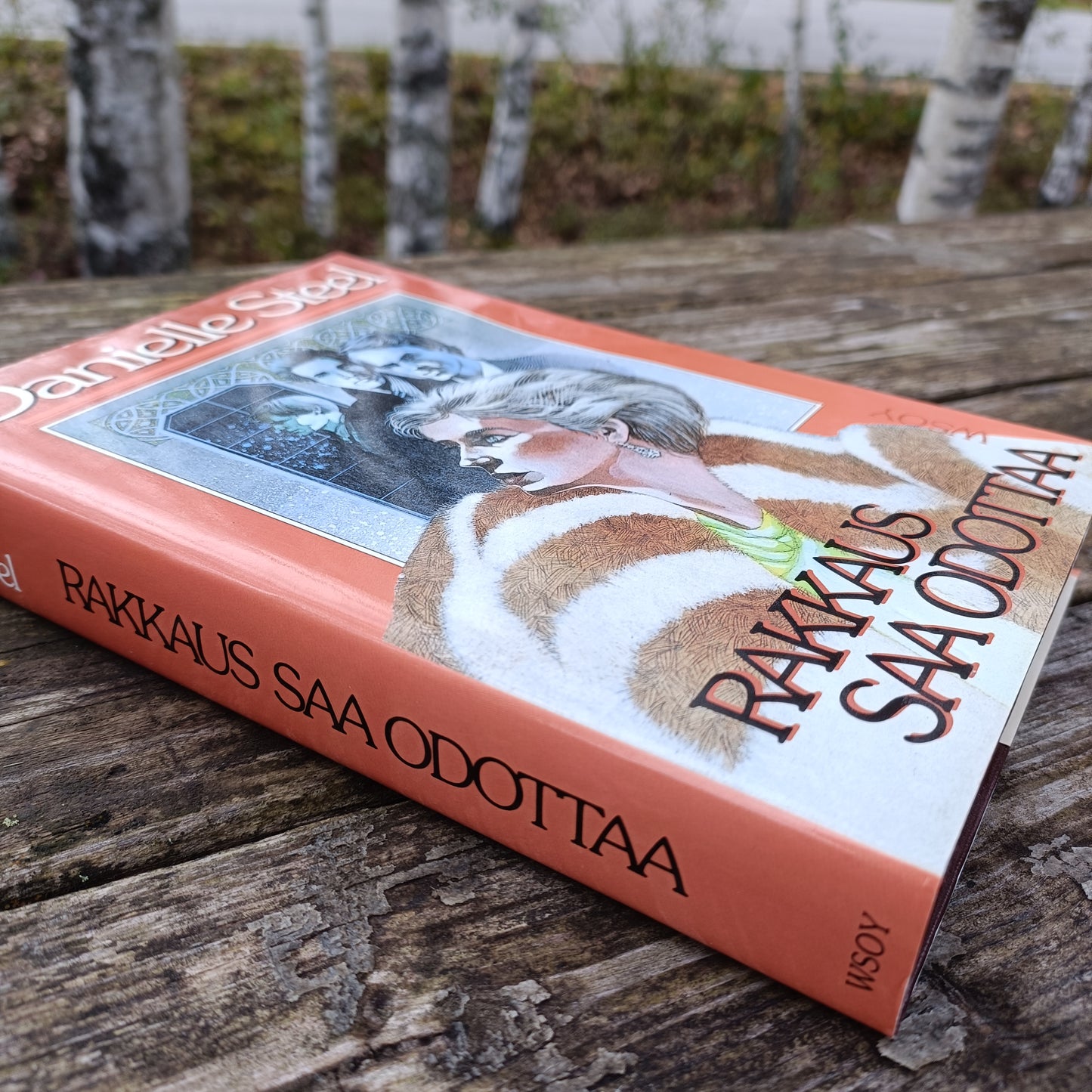 Rakkaus saa odottaa - Danielle Steel