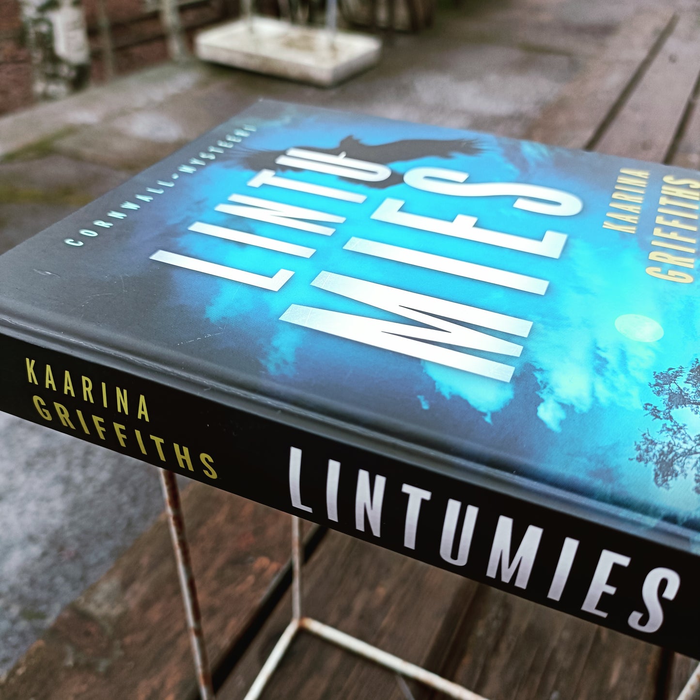 Lintumies - Kaarina Griffiths