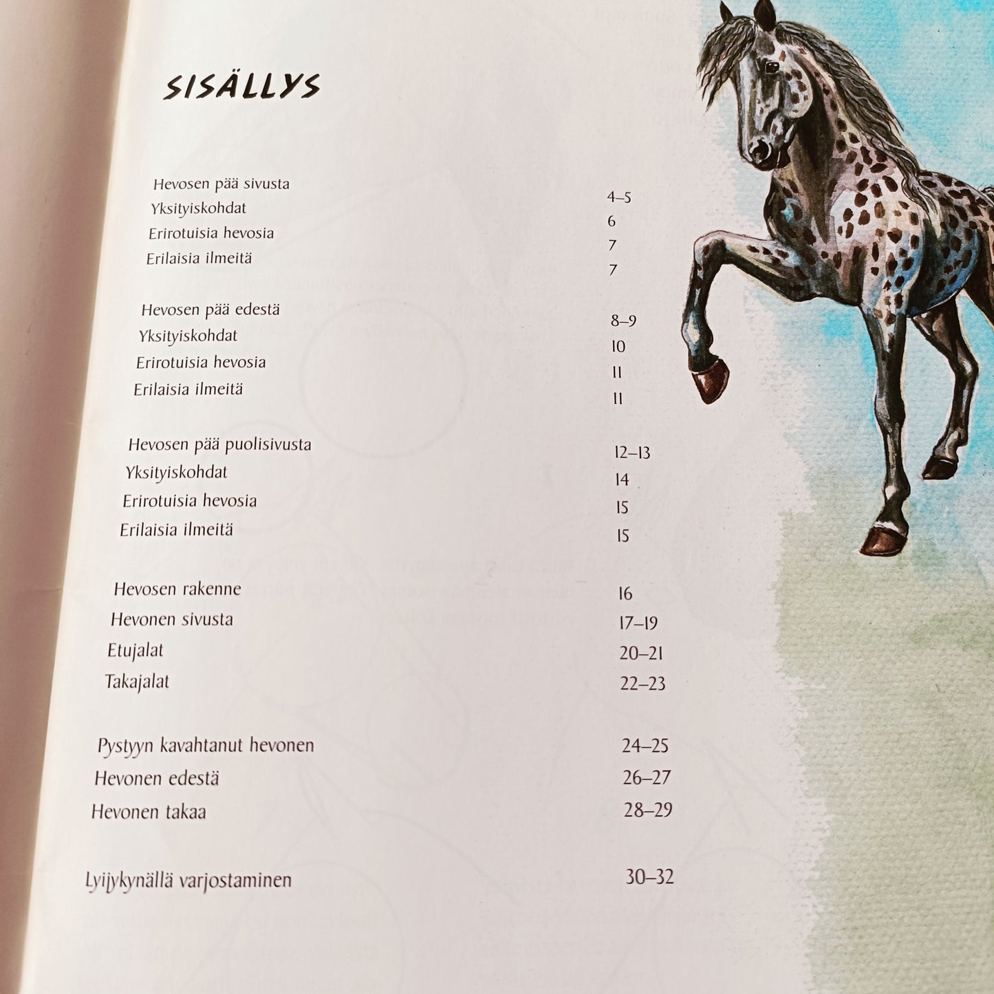 Miljan piirustuskoulu