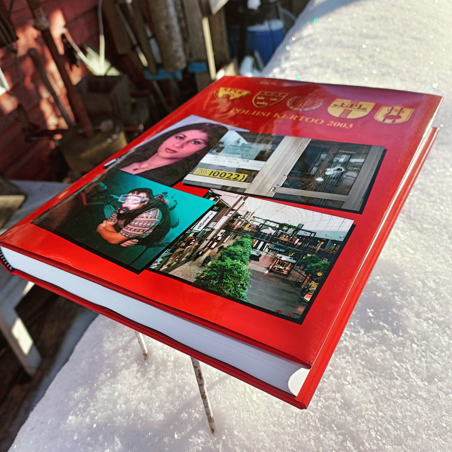 Pohjolan poliisi kertoo 2003