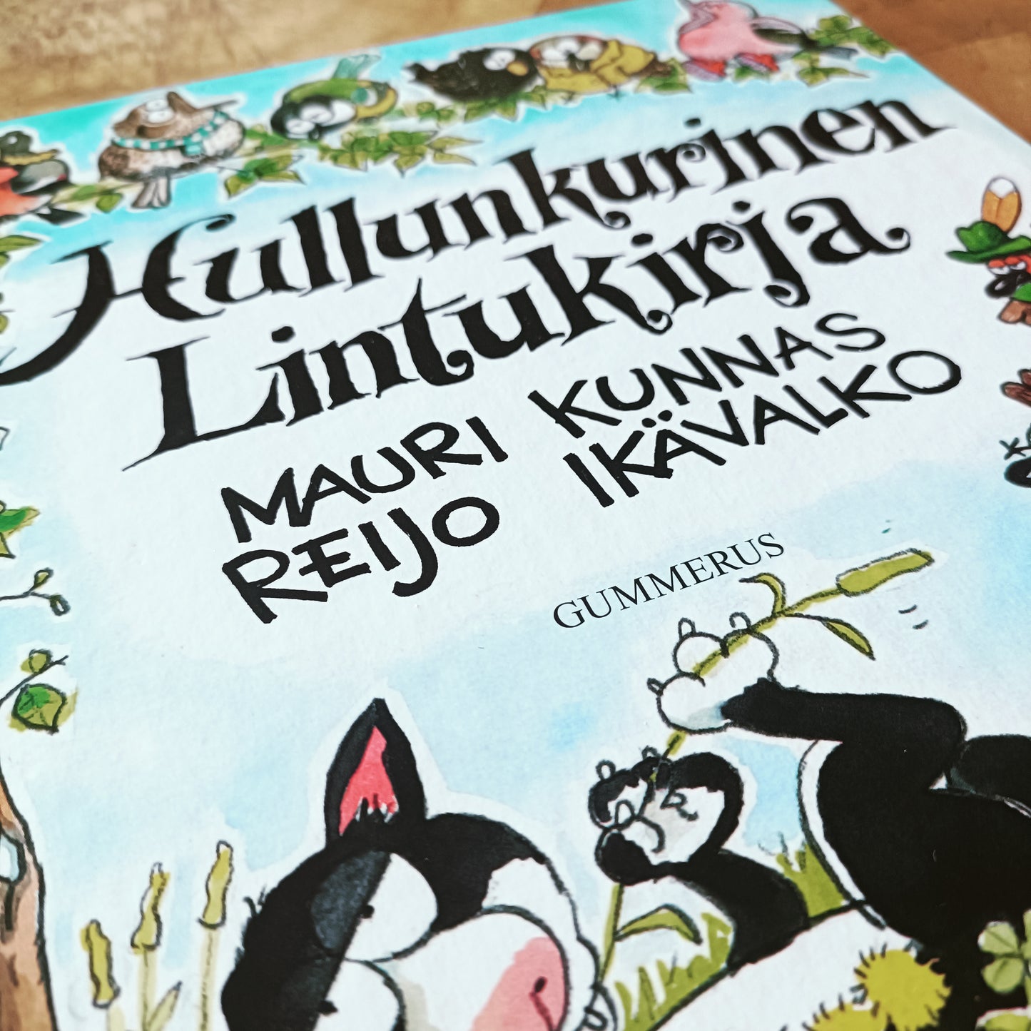 Hullunkurinen lintukirja