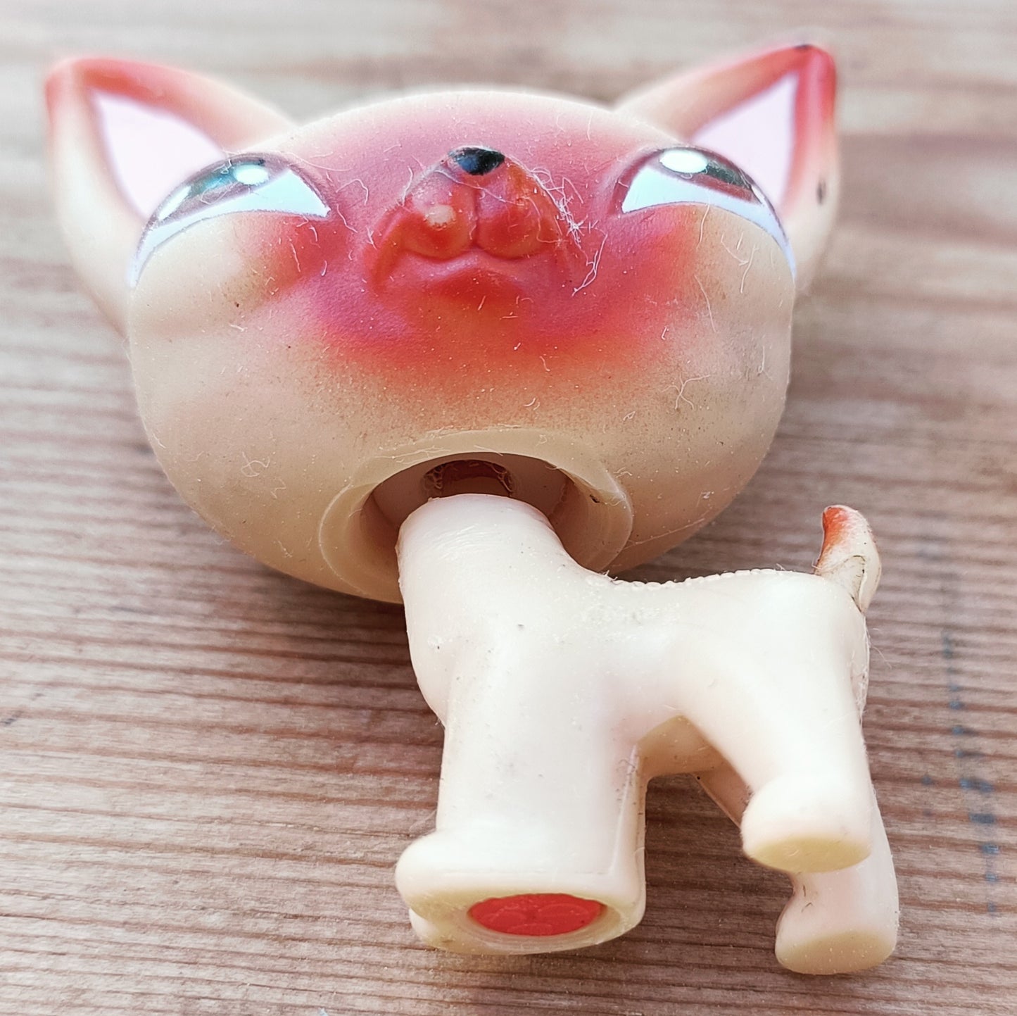 Littlest Pet Shop koira chihuahua #001