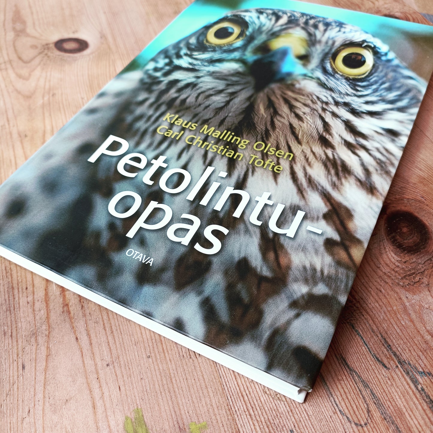 Petolintuopas *