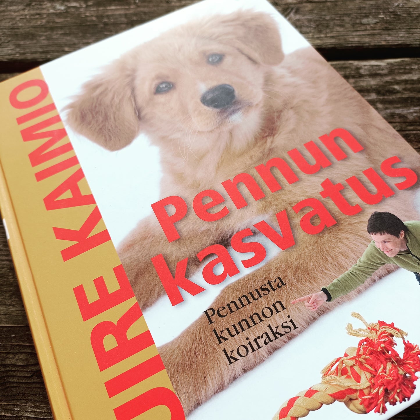 Pennun kasvatus - Pennusta kunnon koiraksi