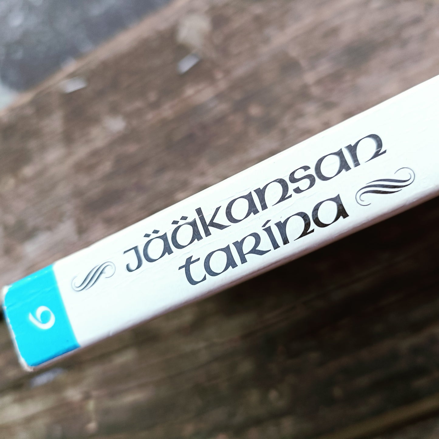 Jääkansan tarina 6 - Pahan perintö - Margit Sandemo