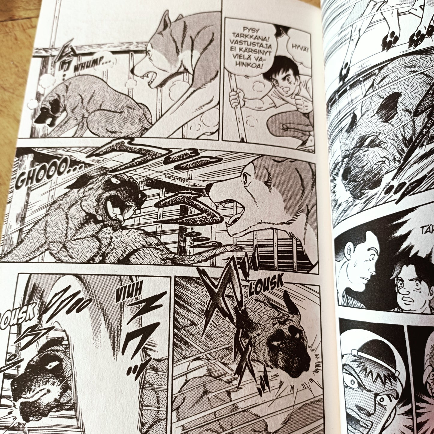 Taistelukoira Zero 2