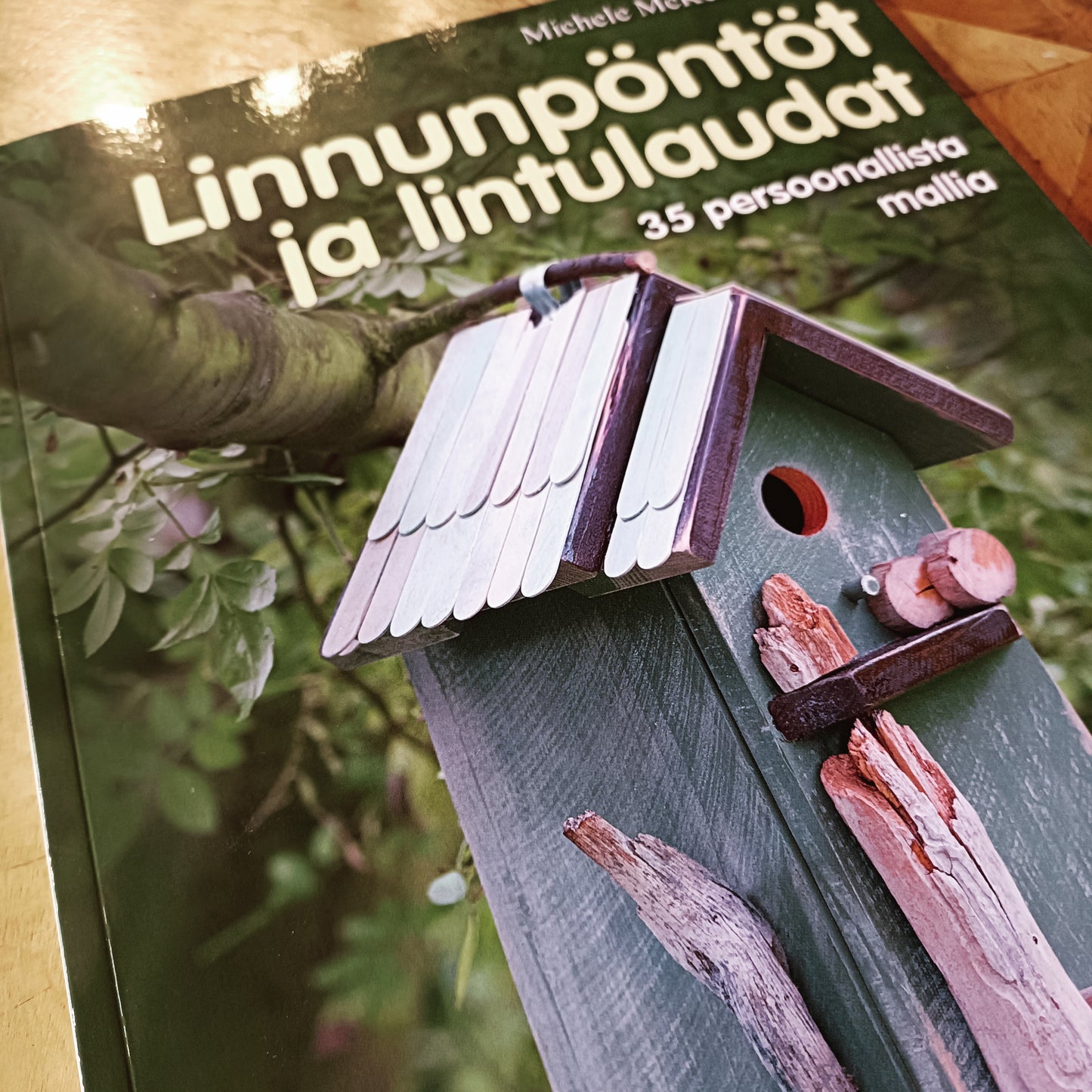Linnunpöntöt ja lintulaudat - 35 persoonallista mallia