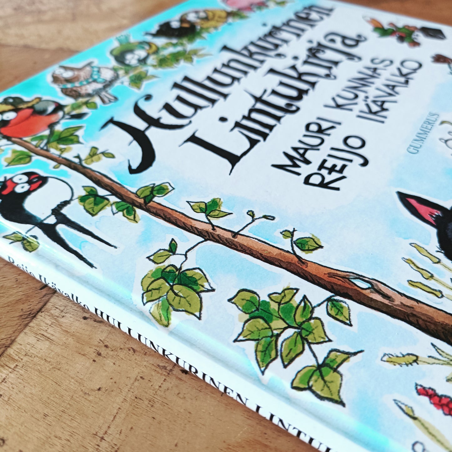 Hullunkurinen lintukirja