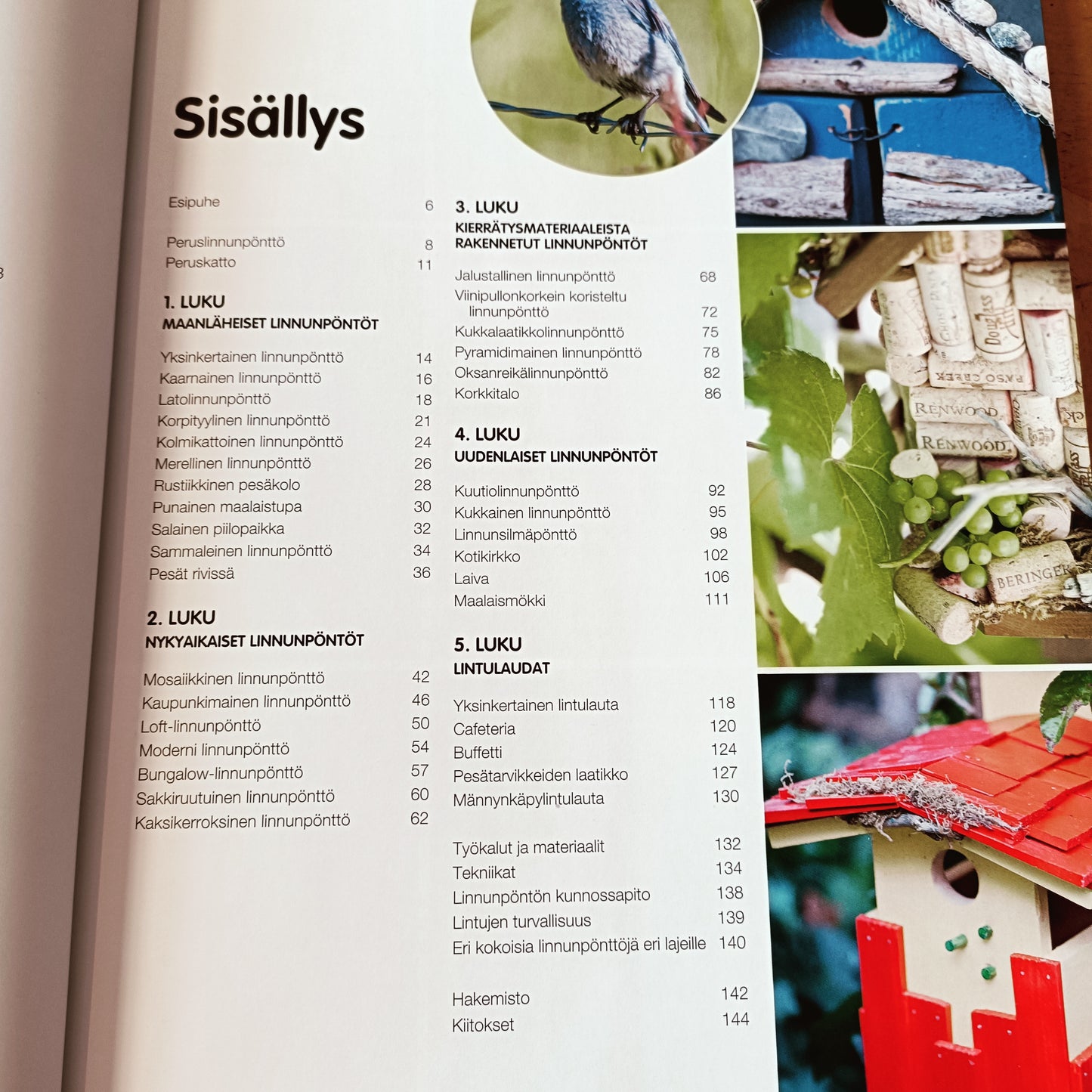 Linnunpöntöt ja lintulaudat - 35 persoonallista mallia