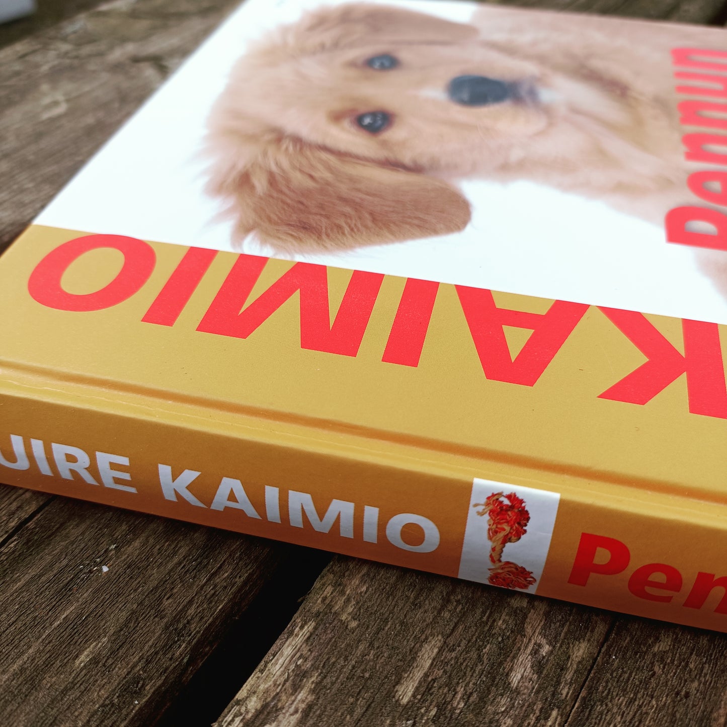 Pennun kasvatus - Pennusta kunnon koiraksi