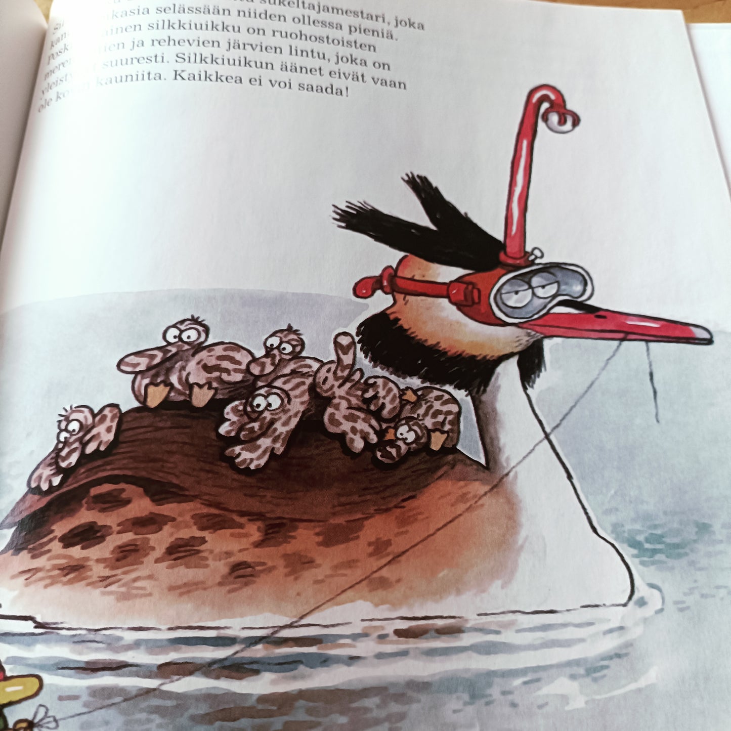 Hullunkurinen lintukirja