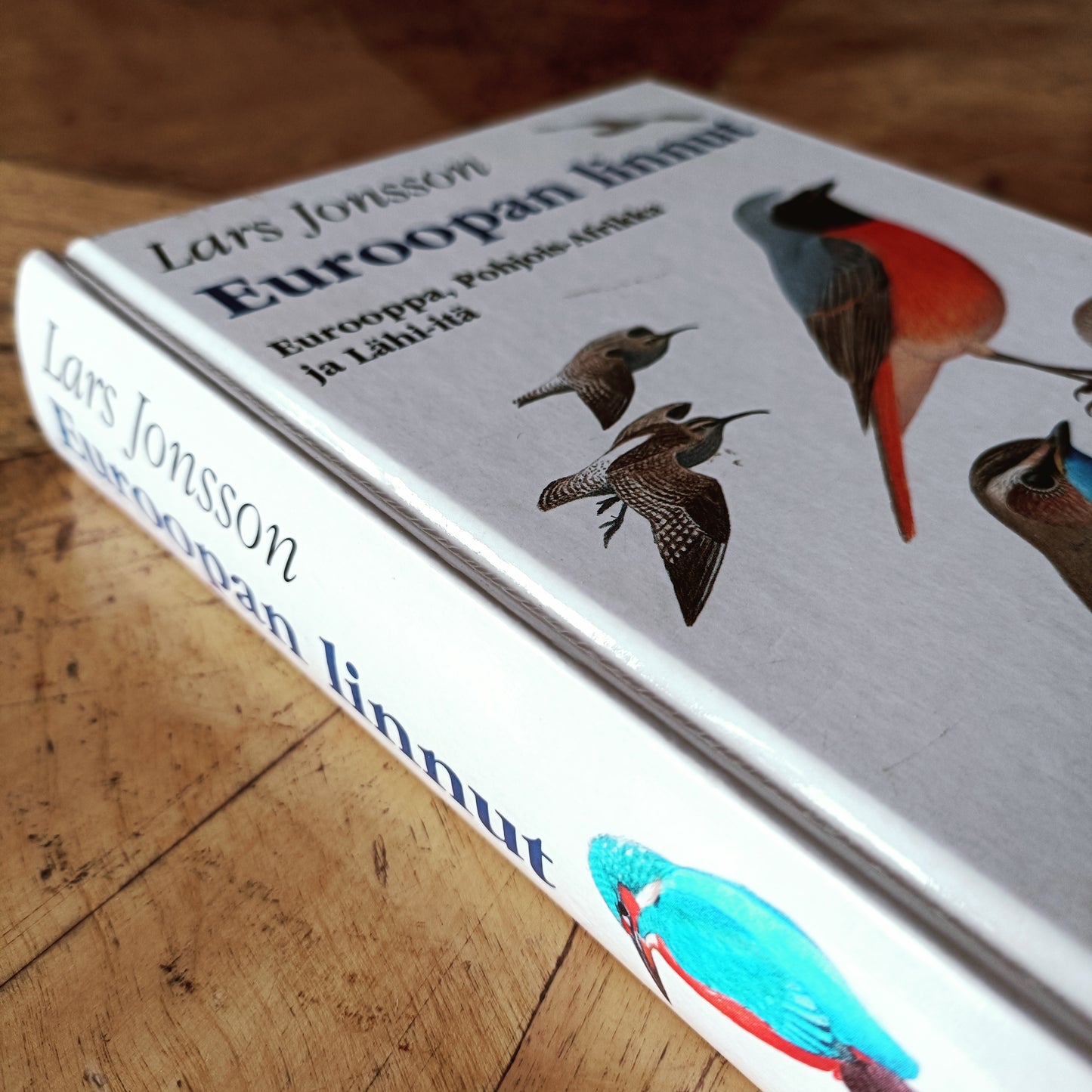 Euroopan linnut - Eurooppa, Pohjois-Afrikka ja Lähi-itä